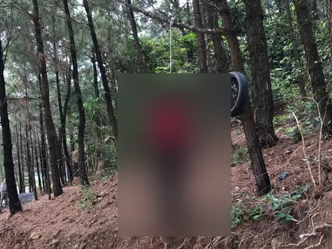 Phát hiện thi thể nam thanh niên treo cổ trên cây thông trong rừng