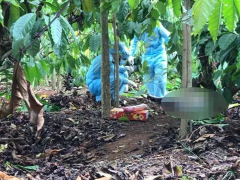 Đắk Lắk: Phát hiện nửa phần thi thể nam giới trong rẫy cà phê