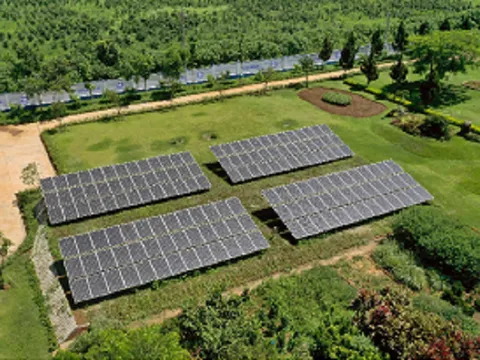 Vinamilk đầu tư hệ thống năng lượng mặt trời tại 12 trang trại bò sữa trên cả nước