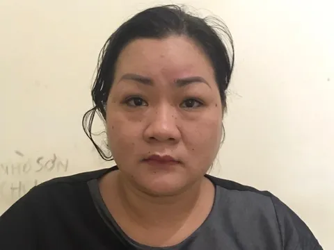 Triệt phá đường dây đẻ 'thuê' với giá 400 triệu/ vụ ở Hà Nội