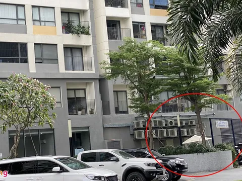 Người nước ngoài rơi từ tầng cao chung cư ở TP.HCM xuống đất tử vong