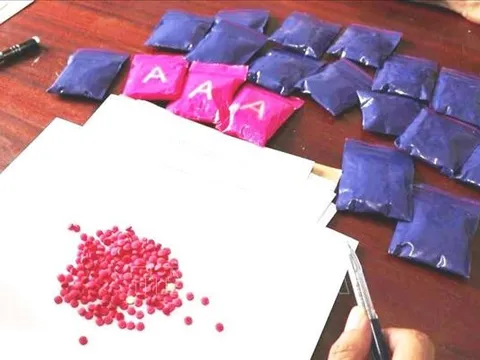 Triệt phá chuyên án ma túy lớn tại Quảng Bình, thu giữ gần 4.500 viên ma túy