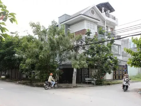 Bắt tạm giam ông Ngô Xuân Trường, Giám đốc Công ty Đại Hải