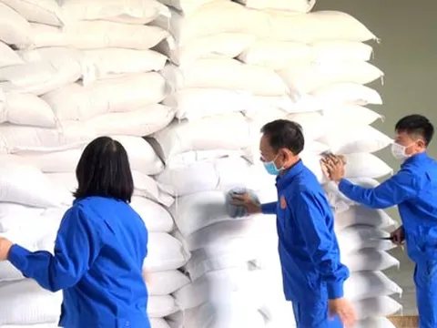 Xuất cấp gạo và hàng dự trữ quốc gia cho 3 tỉnh phòng, chống dịch COVID-19