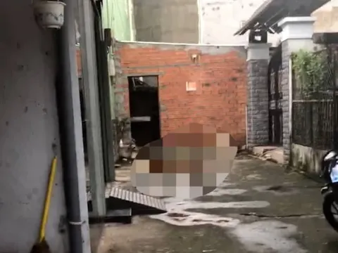 TP.HCM: Phát hiện thi thể không nguyên vẹn sau tiếng la hét ở quận 7