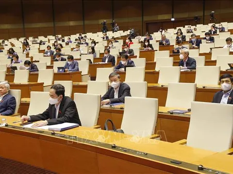 Chỉ nên xét xử trực tuyến với các vụ án có tình tiết đơn giản, chứng cứ rõ ràng