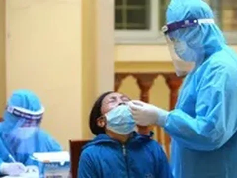 Ngày 10/11: Có 7.930 ca COVID-19, nhiều địa phương gia tăng số mắc mới