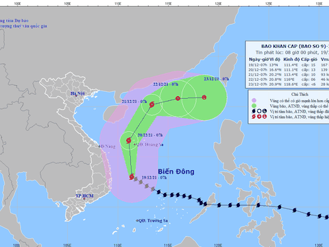 Bão số 9 cách Bình Định - Phú Yên 230km, giật trên cấp 17