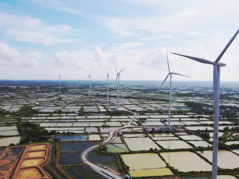 Dự án điện gió 'ngắc ngoải' vì Covid-19, doanh nghiệp kêu cứu