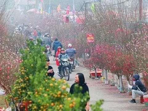 Hà Nội tổ chức 78 điểm chợ hoa xuân phục vụ Tết Nguyên đán 2022