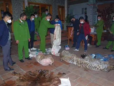 Phát hiện vụ giết hổ nấu cao trái phép tại nhà Chủ tịch xã ở Thái Nguyên