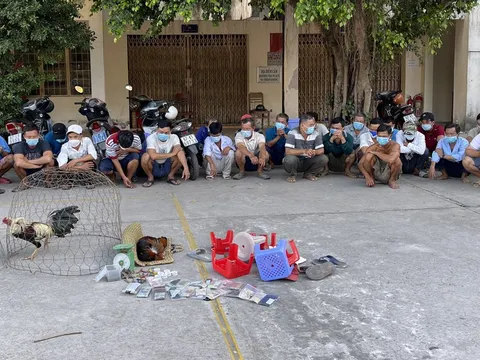 Cảnh sát triệt phá điểm cá độ đá gà ngày Tết ở An Giang