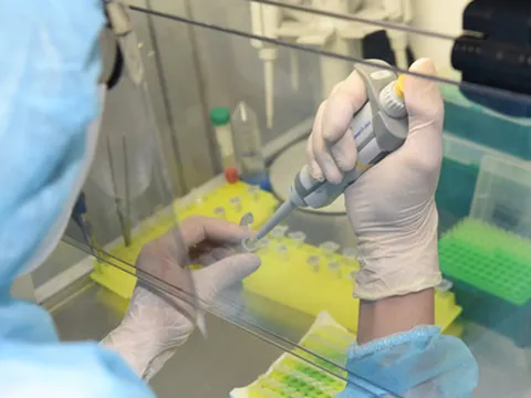 Ngày 26/2: Có 77.982 ca COVID-19 mới; Thái Nguyên đăng ký bổ sung 20.894 F0