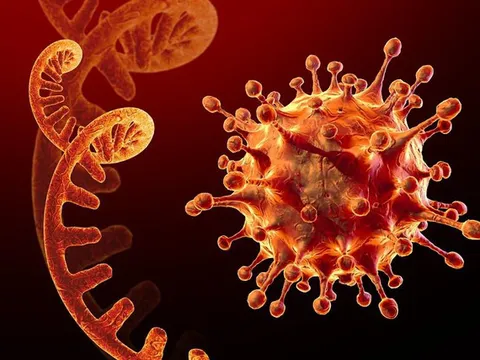 Tái nhiễm COVID-19 có nguy hiểm không, điều trị như thế nào?