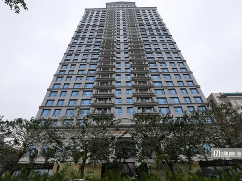 Hủy bỏ 9 đợt chào bán trái phiếu trị giá 10.000 tỷ đồng của Tân Hoàng Minh