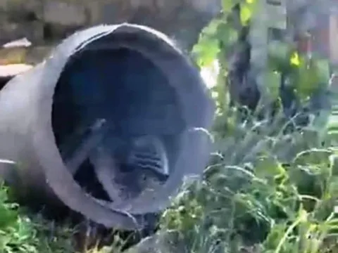 Nam Định: Nổ lò hơi, 1 người tử vong tại chỗ