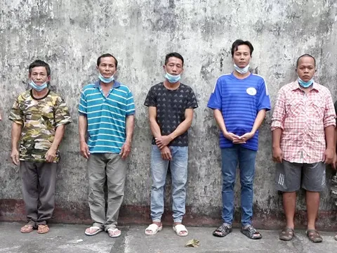 Khởi tố, bắt tạm giam 7 đối tượng phá rừng ở Phú Quốc