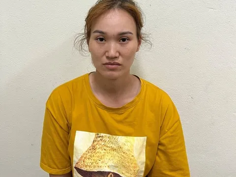 'Nữ quái' giả danh làm thư ký toà án, lừa đảo chiếm đoạt hàng trăm triệu đồng