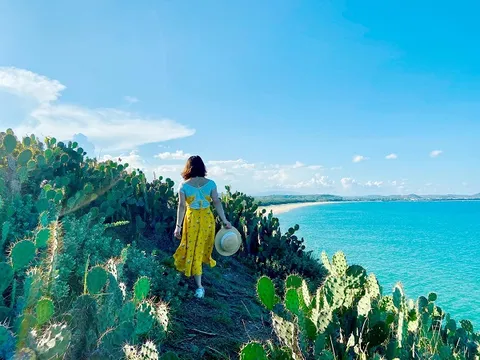 Trải nghiệm vi vu Phú Yên những ngày nắng hạ