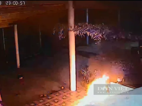 Bắt 3 đối tượng ném bom xăng vào nhà dân ở Bình Định