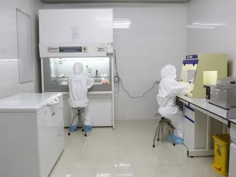 Tạm giam trưởng khoa xét nghiệm CDC Yên Bái liên quan vụ Việt Á