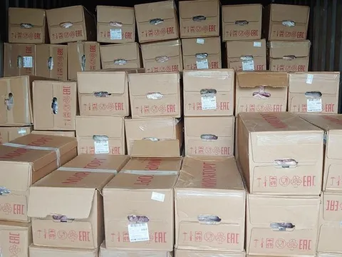 Phát hiện xe tải vận chuyển 16 tấn thịt heo không rõ nguồn gốc ở An Giang