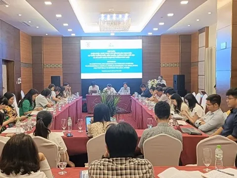 7 giải pháp hoàn thiện pháp luật và nhận diện mâu thuẫn, bất cập trong hệ thống pháp luật