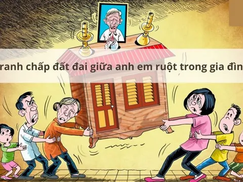 Liên tiếp những vụ án thương tâm xuất phát từ mâu thuẫn tranh chấp đất đai trong gia đình