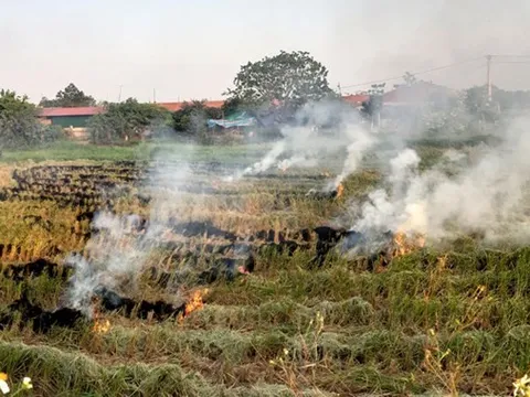Đốt rơm rạ gây ô nhiễm môi trường sẽ bị phạt đến 3 triệu đồng