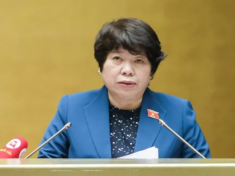 Việc sửa đổi Luật Phòng, chống bạo lực gia đình cơ bản đạt mục tiêu đặt ra