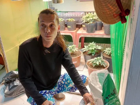 Tạm giữ hình sự đối tượng trồng cần sa trên sân thượng ở Cần Thơ