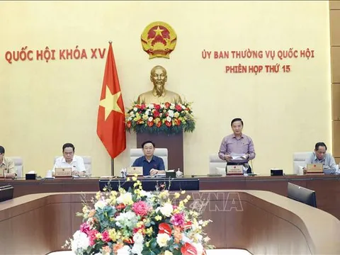 Công tác phát hiện, xử lý tham nhũng có bước đột phá mạnh mẽ