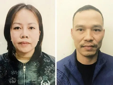 Triệt phá đường dây mang thai hộ giá 700 triệu đồng tại Hà Nội