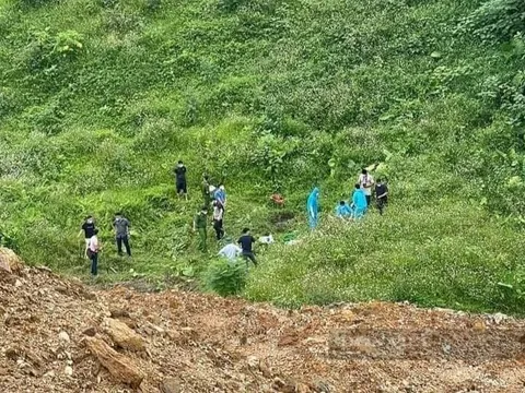 Đi câu cá, phát hiện thi thể đang phân hủy giáp vệ đường ở Yên Bái