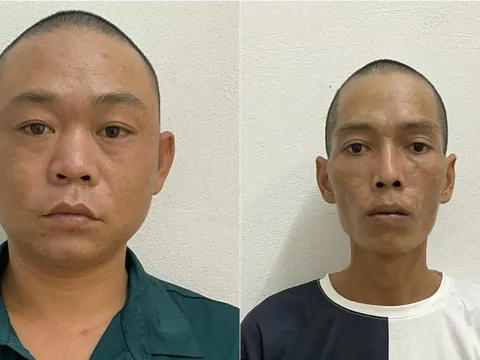 Hải Phòng: Bắt tạm giam đối tượng trả lương công nhân bằng ma tuý