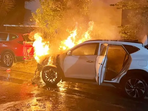 Truy bắt 2 kẻ phóng hoả đốt xe ô tô lúc rạng sáng ở TP.HCM