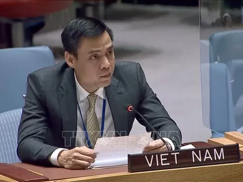 Việt Nam khẳng định cam kết thúc đẩy pháp quyền cấp độ quốc gia và quốc tế