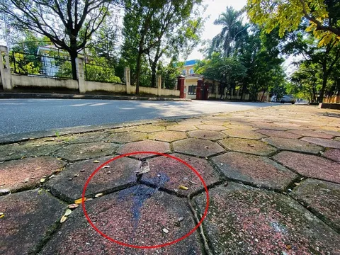 Hà Nội: Truy tố 2 bố con đánh chết người trước cổng trụ sở VKSND huyện Phúc Thọ