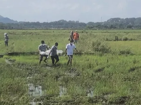 Phát hiện thi thể người đàn ông giữa cánh đồng ở TP.Bà Rịa