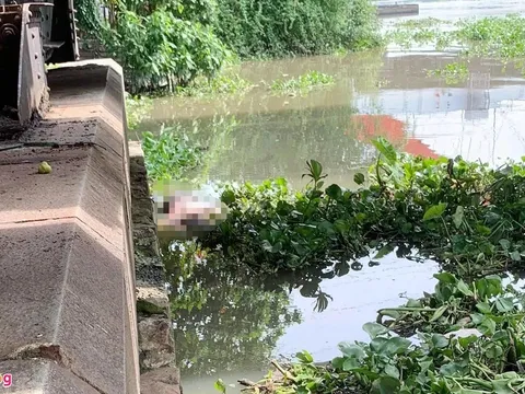 TP.HCM: Phát hiện thi thể cô gái nổi trên sông Sài Gòn