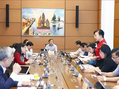 Quy định chặt để tránh đầu cơ trong đấu giá biển số xe