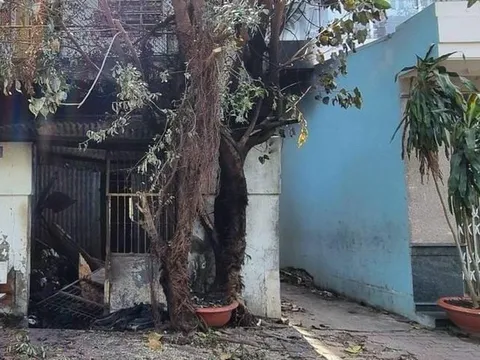 Tạm giữ hình sự đối tượng phóng hỏa đốt nhà làm 2 mẹ con tử vong