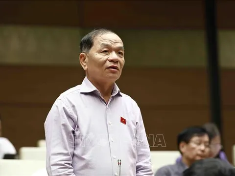 Xây dựng chính sách phù hợp, thu hút, trọng dụng nhân tài