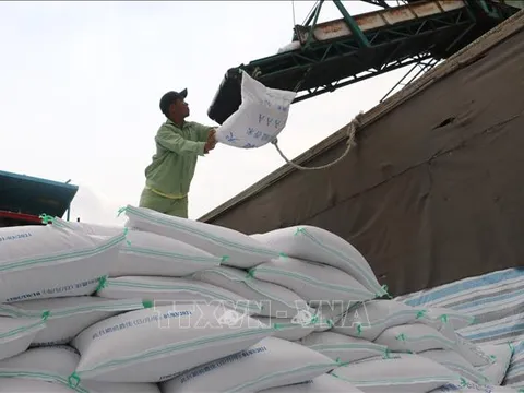 Đề xuất sửa đổi Nghị định 107/2018/NĐ-CP về kinh doanh xuất khẩu gạo