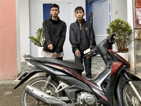 Bắt 2 đối tượng thực hiện hàng chục vụ trộm cắp liên tỉnh