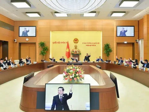 Xem xét, thông qua dự thảo Pháp lệnh Xử phạt vi phạm hành chính trong lĩnh vực kiểm toán nhà nước