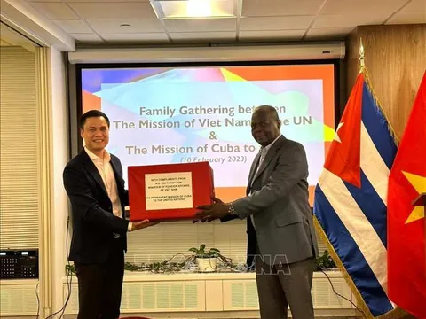 Việt Nam luôn trân trọng mối quan hệ hữu nghị đặc biệt với Cuba