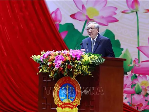 Sửa đổi Luật Tổ chức Tòa án nhân dân, đẩy mạnh cải cách tư pháp