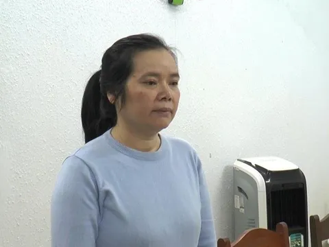 Khởi tố nữ giám đốc đưa nhiều người trốn đi nước ngoài bằng visa du lịch