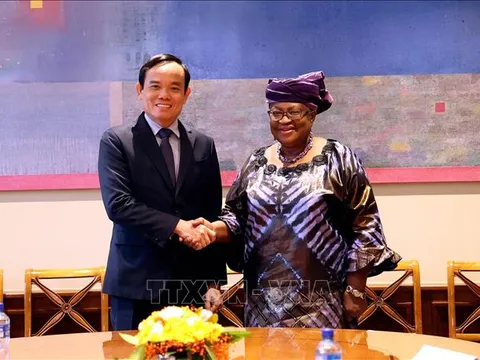 Phó Thủ tướng Trần Lưu Quang gặp lãnh đạo các nước và các tổ chức quốc tế